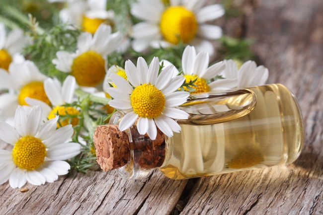 Chamomile Oil Market 2022 – Major Players are ......