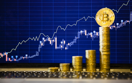 Crypto Wallets Market Report  | Latest Trends, Growth & Forecast