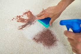 Global Carpet Spot Remover Market 2022: COVID-19 Impact Analysis and Industry Forecast Report