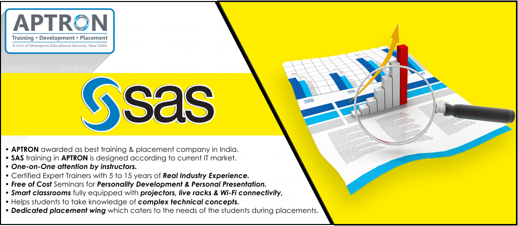 SAS Training in Delhi