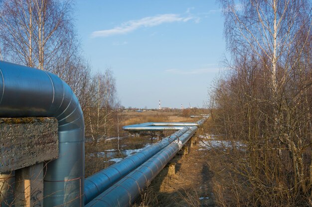 How Stainless Steel Pipe Supports Sustainable Agriculture