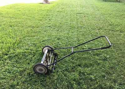 Questions to Ask Before Hiring a Landscaper
