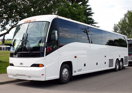 The 5 Best San Francisco Bus Tours