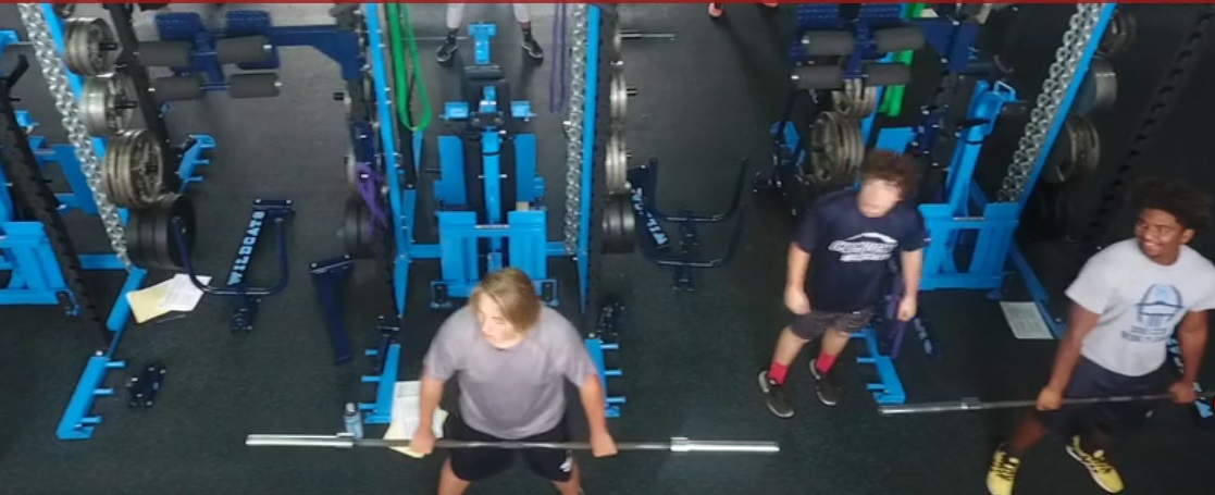 Buy Complete Commercial Fitness Gym Equipment
