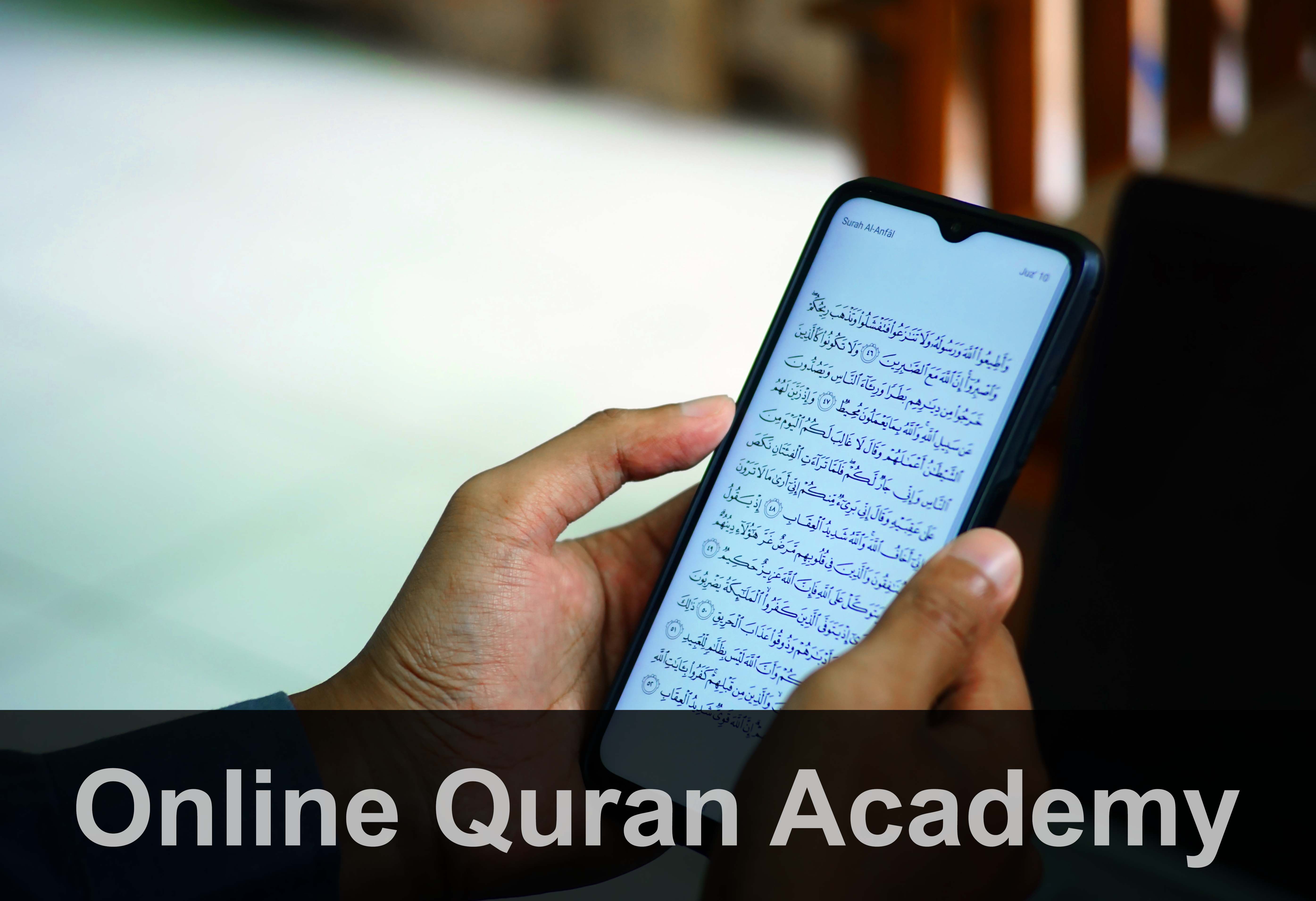 Read the Holy Quran at Online Quran Academy - TQAPK Quran Academy