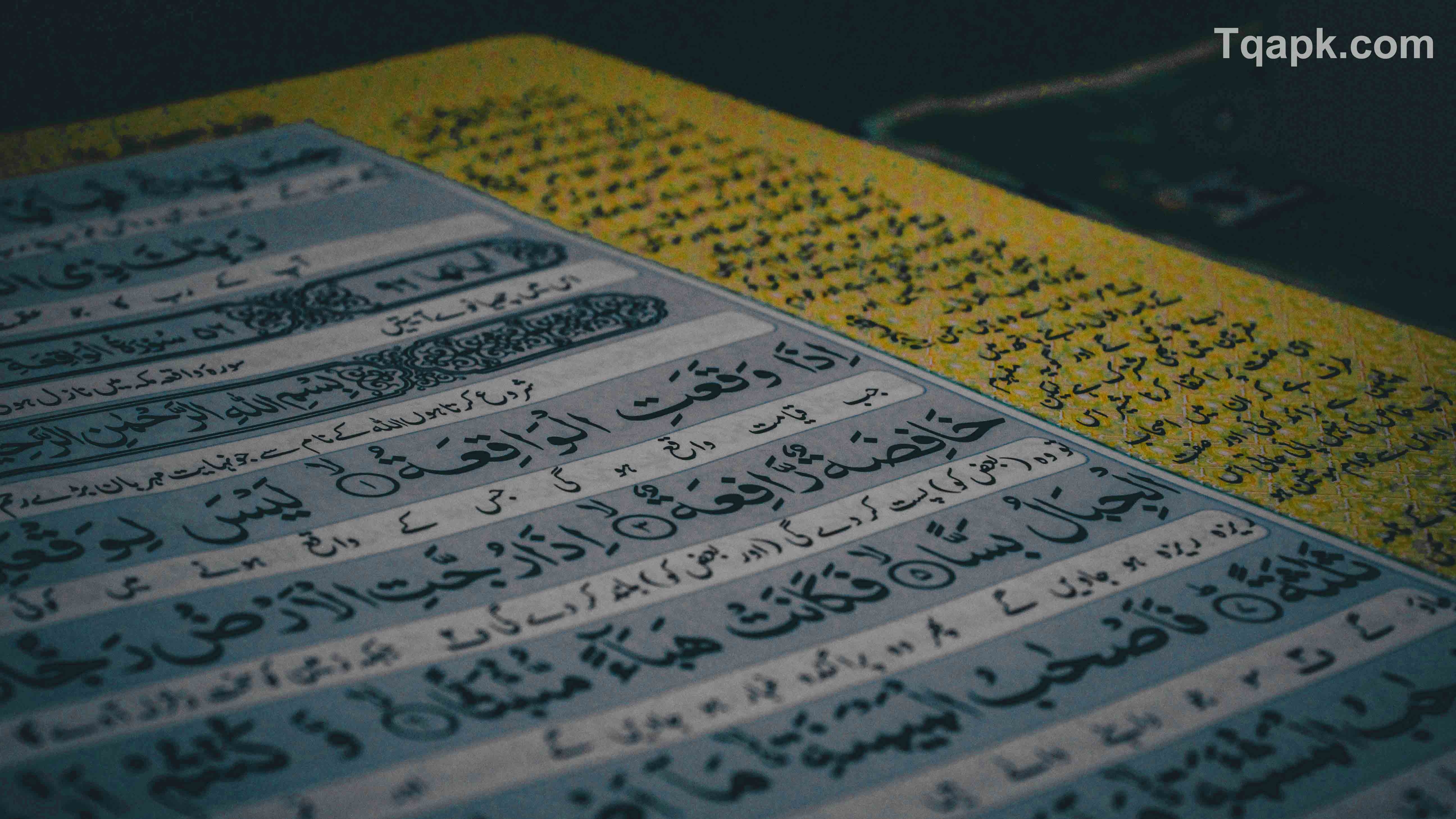 Best Advantage to Joining Online Quran Academy