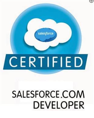 Using Certified Platform App Builder Exam Dumps
