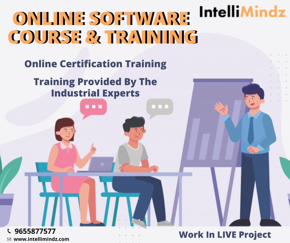 Intellimindz Informatica MDM Online Training