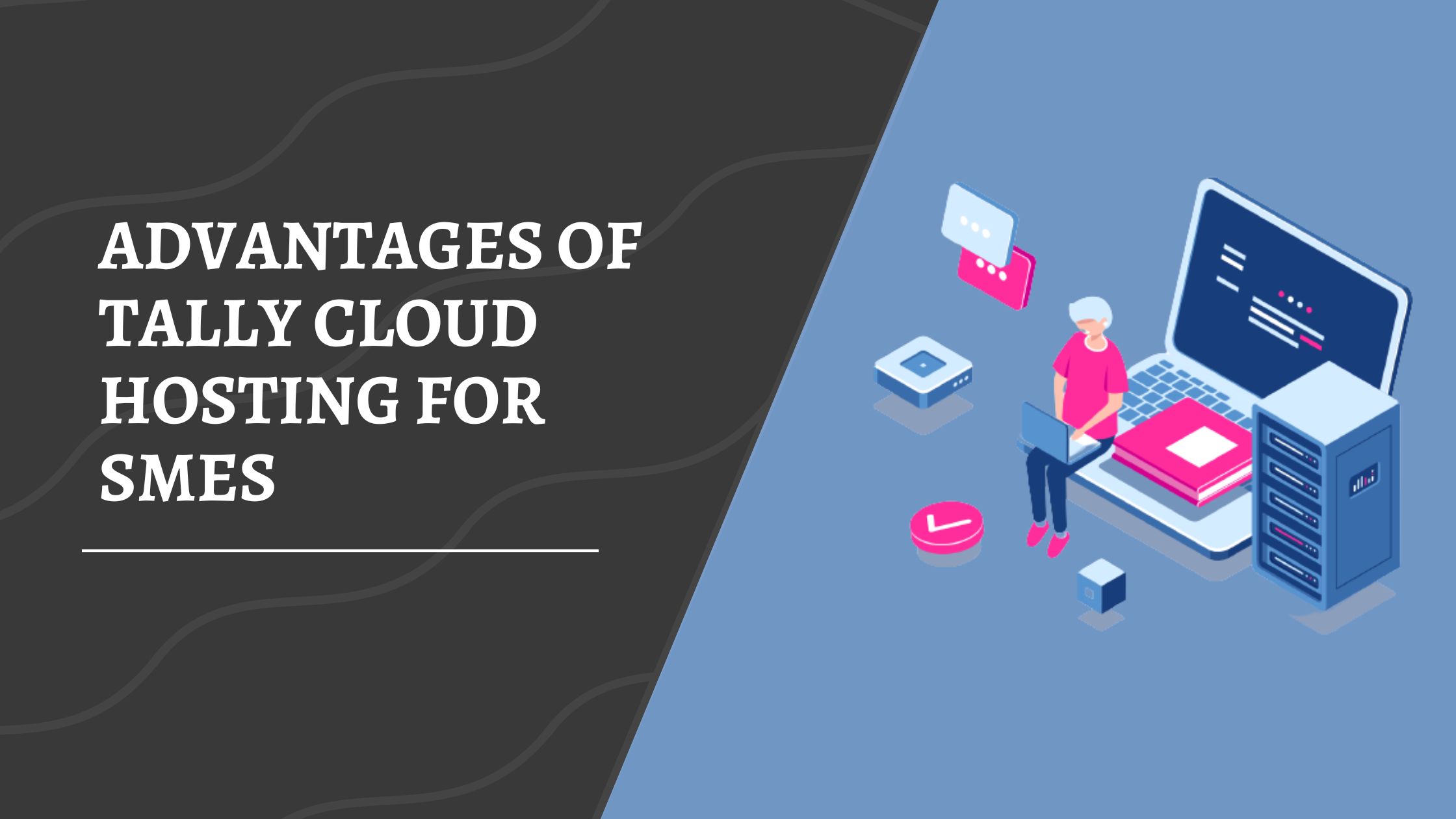 Advantages of Tally Cloud Hosting for SMEs