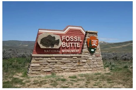 Enhancing Business Presence with Monument Signs