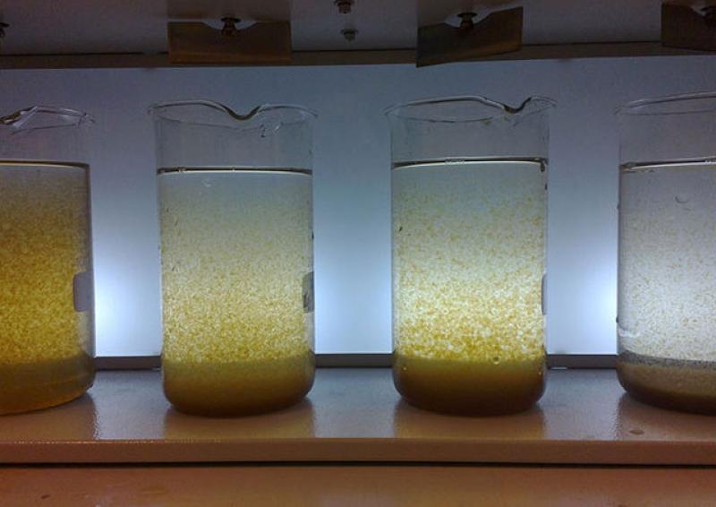 Flocculant and Coagulant Market Size, Share, Demand, Growth & Trends by 2032