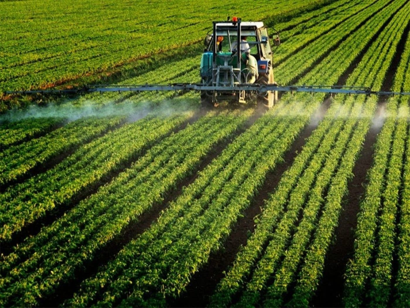 Green Fertilizer Market Size, Share, Demand & Trends by 2033