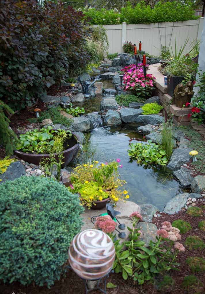 Pond Cleaning Services in Long Island