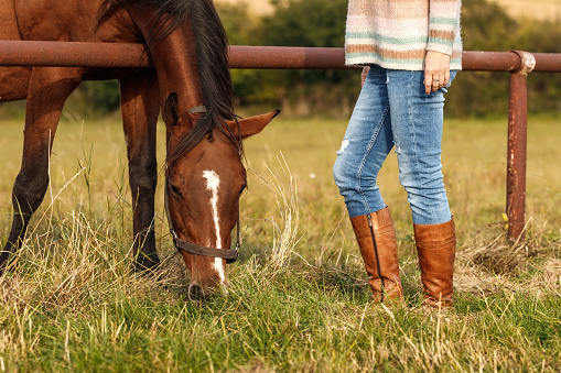 Benefits of Using Paddock Boots