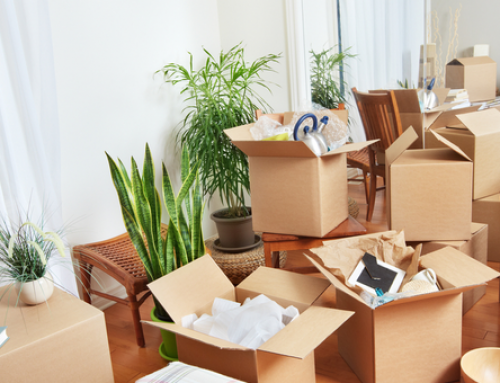 Packers n Movers Mumbai