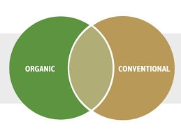 Differences between conventional and organic food products farming