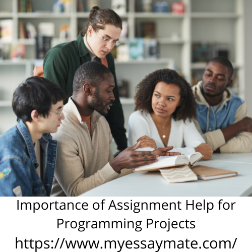 Importance of Assignment Help for Programming Projects