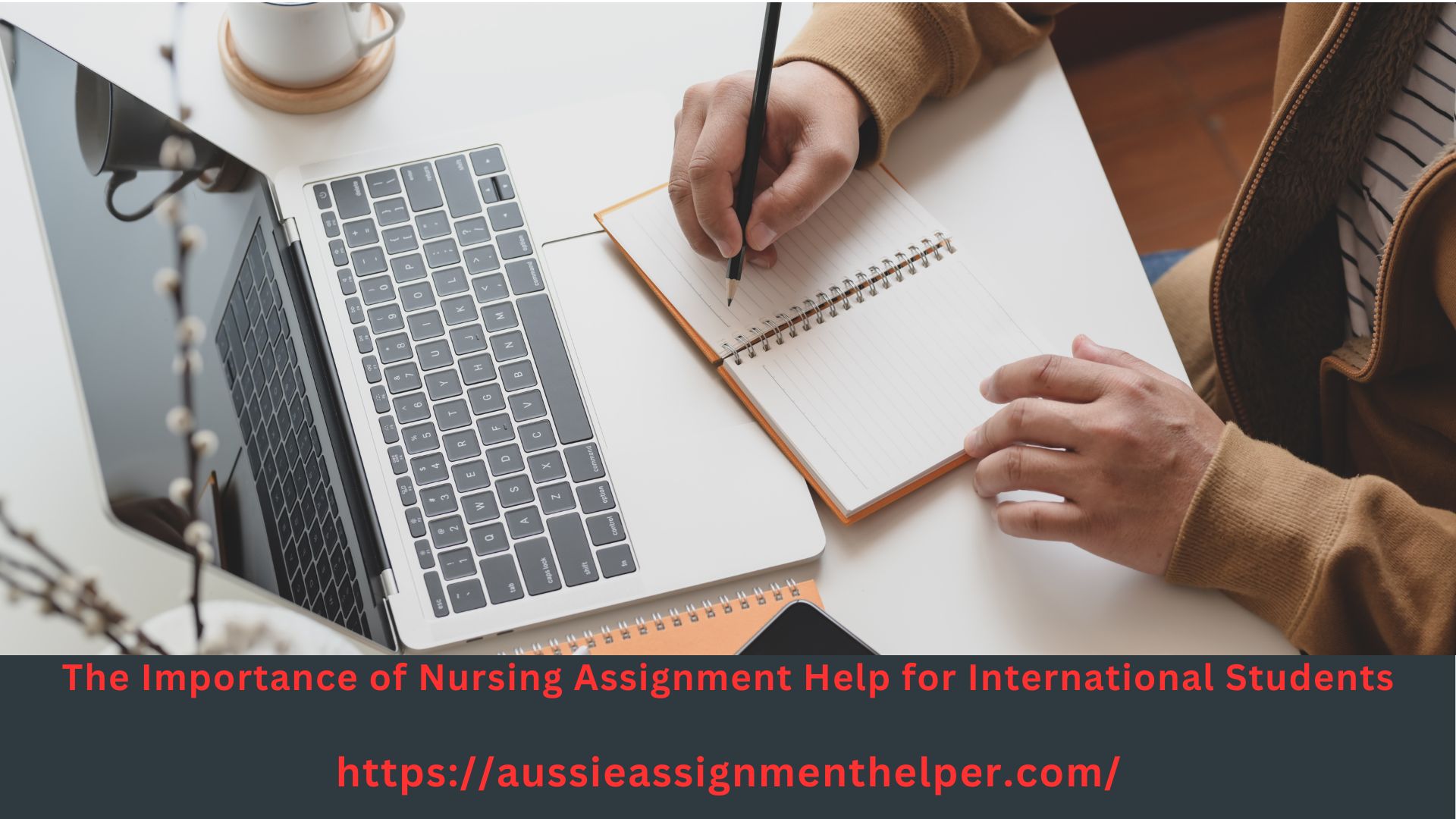 The Importance of Nursing Assignment Help for International Students