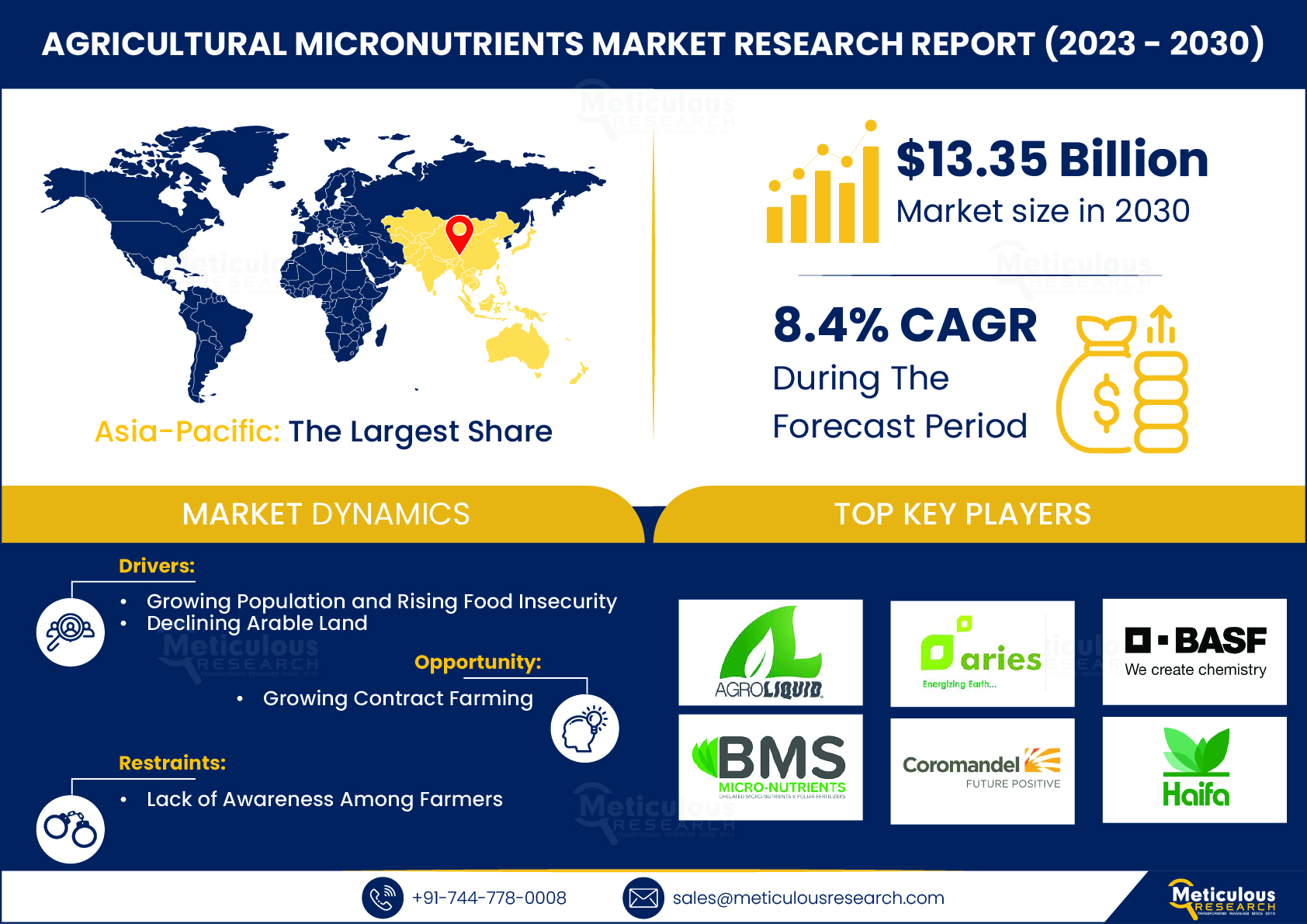 Overview of the Agricultural Micronutrients Market