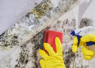 Black Mold? 7 Ways to Remove It!