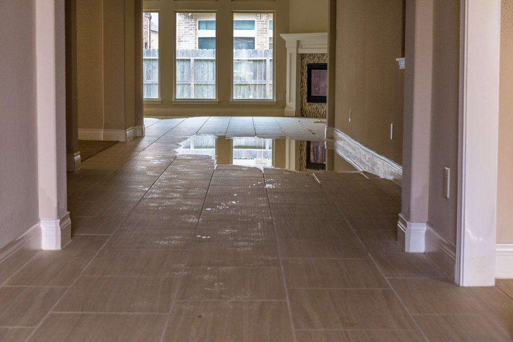 Appliances Failure- How to Avoid Water Damage in Kitchen