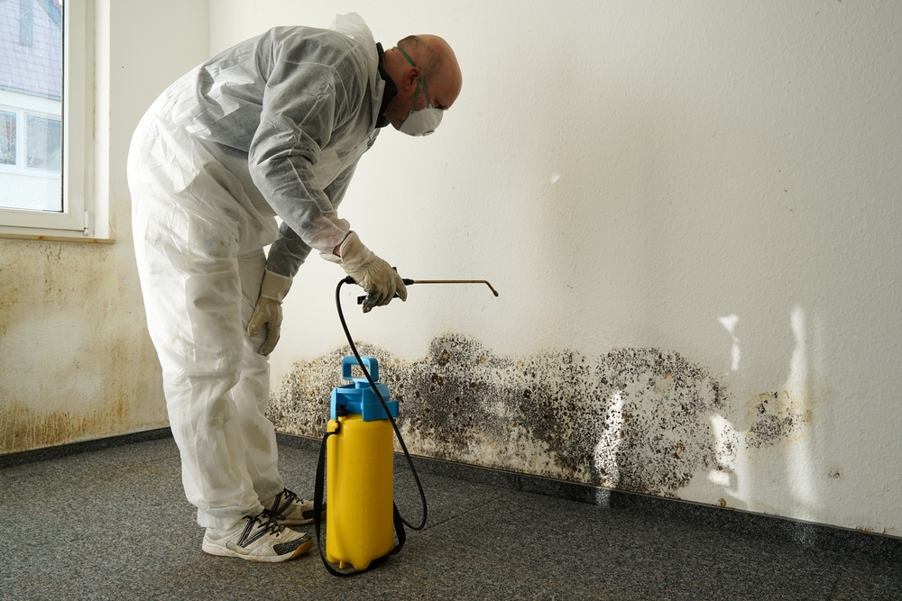 Mold Testing and its Types