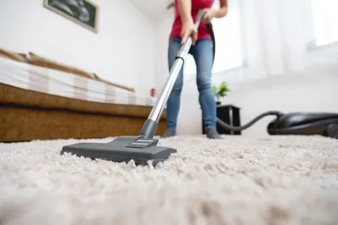 The Ultimate Guide to Professional Carpet Cleaning