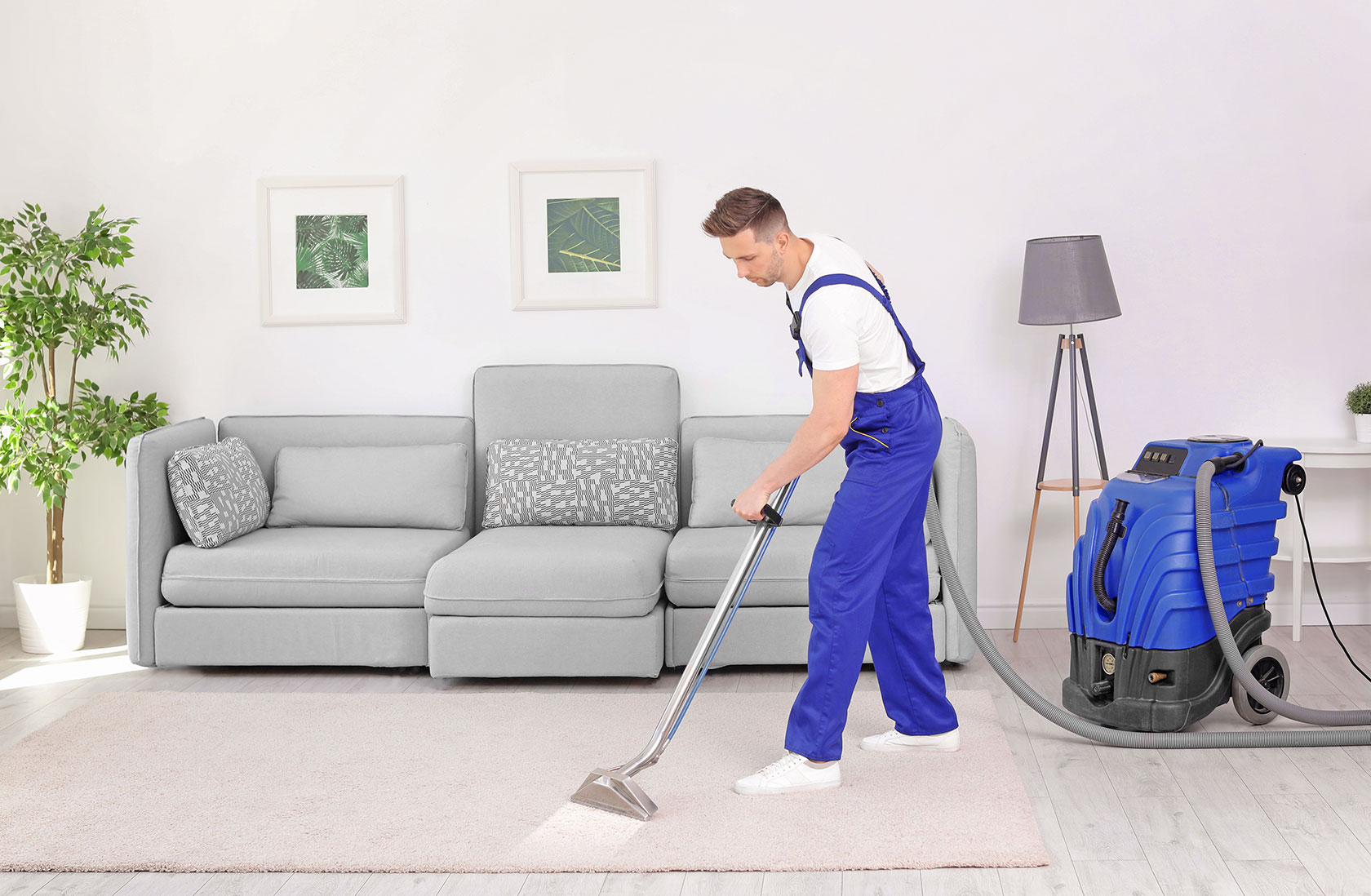 DIY vs. Professional Carpet Cleaning: Which is Best?