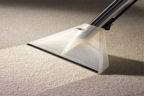 Reasons DIY Carpet Cleaning Really Not Match Professional Results