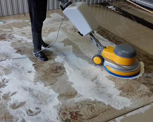  Step-by-Step Carpet Cleaning: Your Pathway to a Cleaner Home
