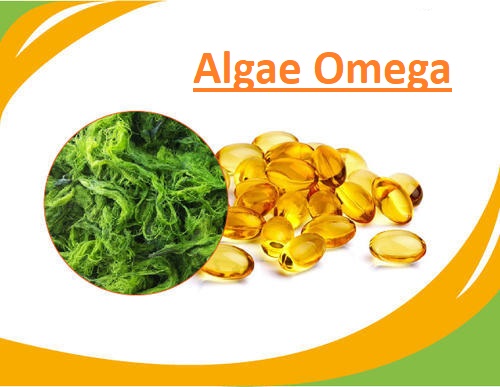 Algae Omega Market Size, Share, Regional Overview and Global Forecast to 2028