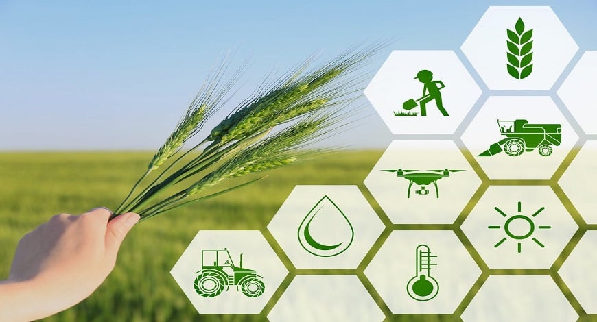 Agriculture Supply Chain Management Market Size, Share, Growth, Opportunities and Global Forecast to 2028