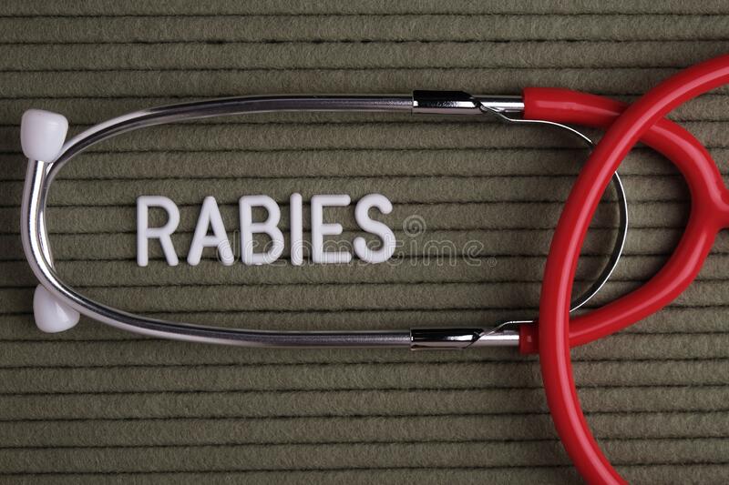 Global Rabies Diagnostics Market Report, Latest Trends, Industry Opportunity & Forecast to 2028