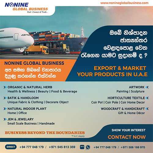 Nonine Business in UAE