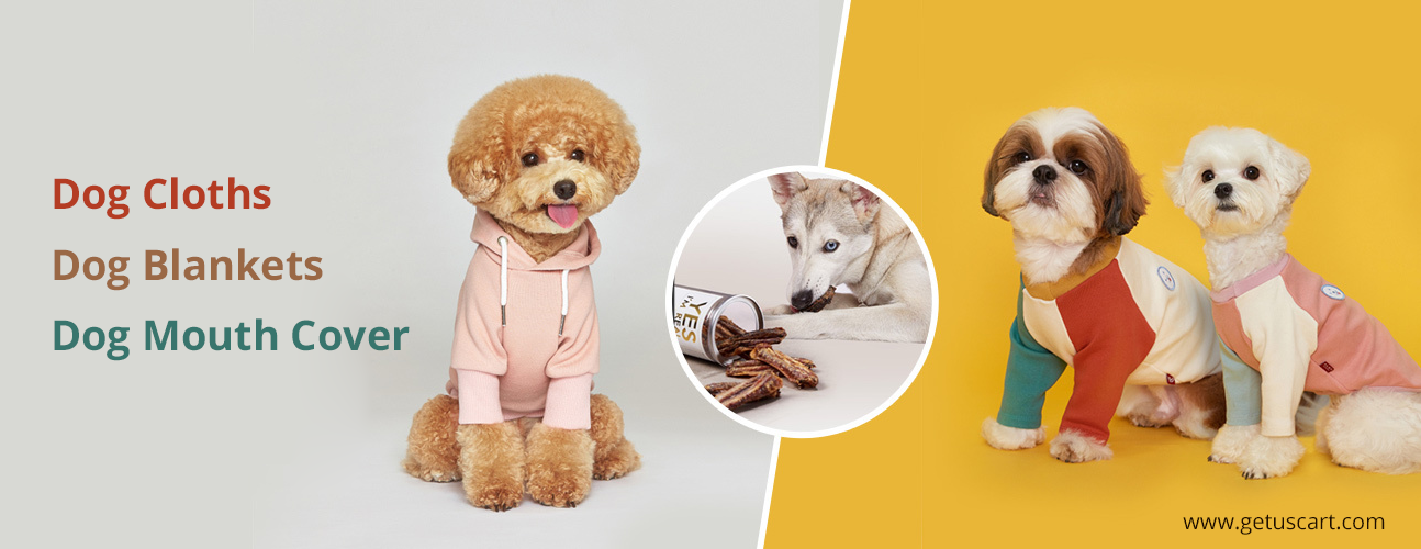 Top 10 Dog Accessories