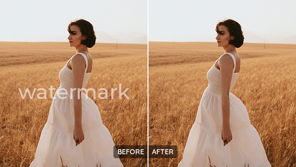 How To Easily Remove Watermarks from Photos Online (For FREE!)