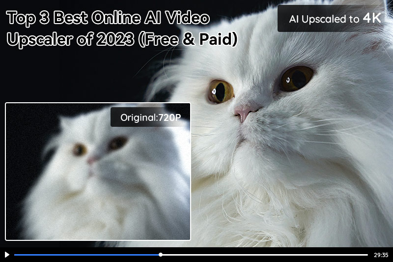 Top 3 Best Online AI Video Upscaler of 2023 (Free & Paid)