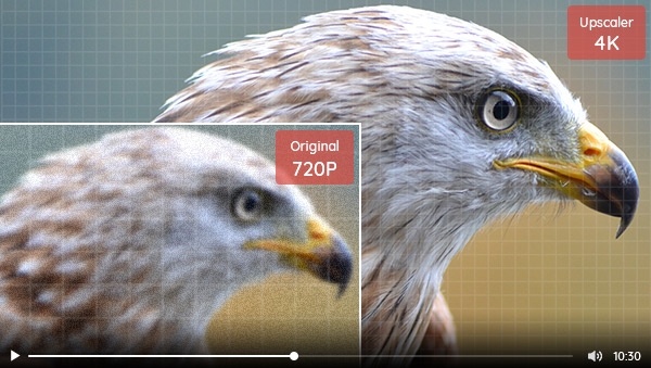 Best 4K Upscaler: One-Click to Upscale Videos and Images to 4K