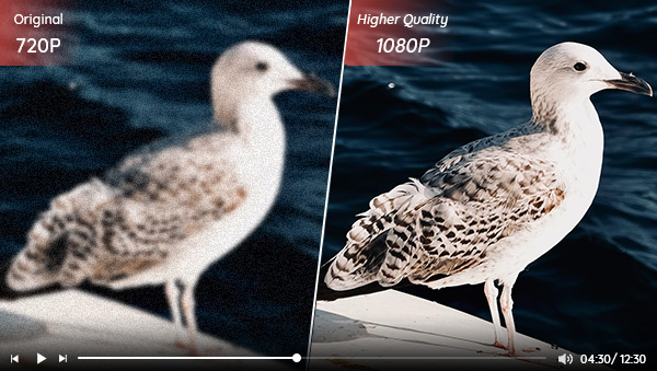 Top 3 Video Quality Enhancers to Make a Video Higher Quality