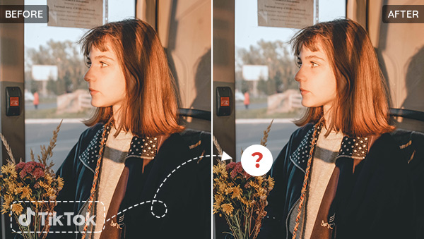 How to Remove TikTok Watermark— Summary of the Most Comprehensive Methods Available to Remove Watermark from Videos and Photos