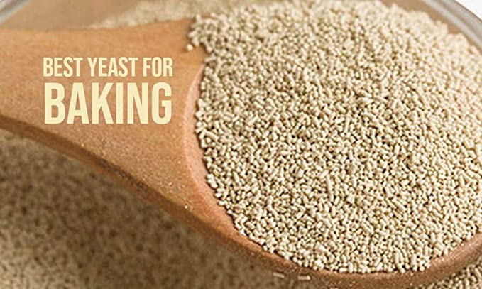 Organic Dry Yeast Market Size, Share, Regional Overview and Global Forecast to 2028