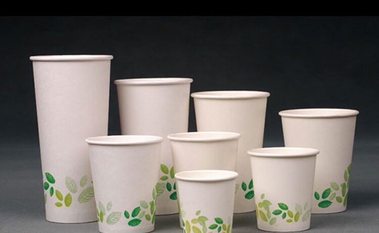 Biodegradable Cups Market Size, Share, Growth, Opportunities and Global Forecast to 2028