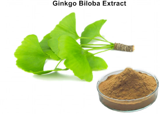 Ginkgo Biloba Extract Market Size, Status, Growth | Industry Analysis Report 2022-2028