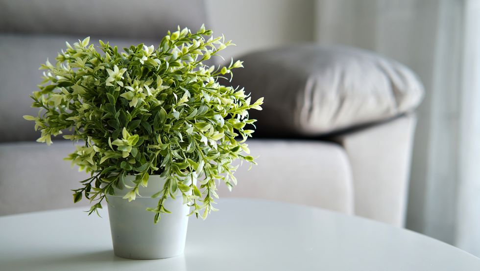 Artificial Plants Market with Top of Industry Trends 2018-2028