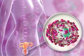 Vulvovaginal Candidiasis Treatment Market to be Dominated by Clotrimazole Drug Class Type through 2028