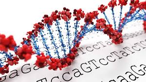 Cancer Gene Therapy Market to be dominated by Gene Induced Immunotherapy type, through 2028