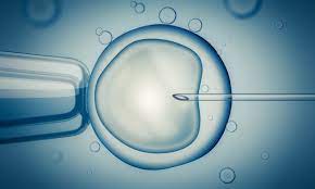 UAE In-Vitro Fertilization (IVF) Market to reach USD410.82 million by 2027
