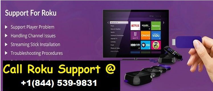 Alexa customer care number