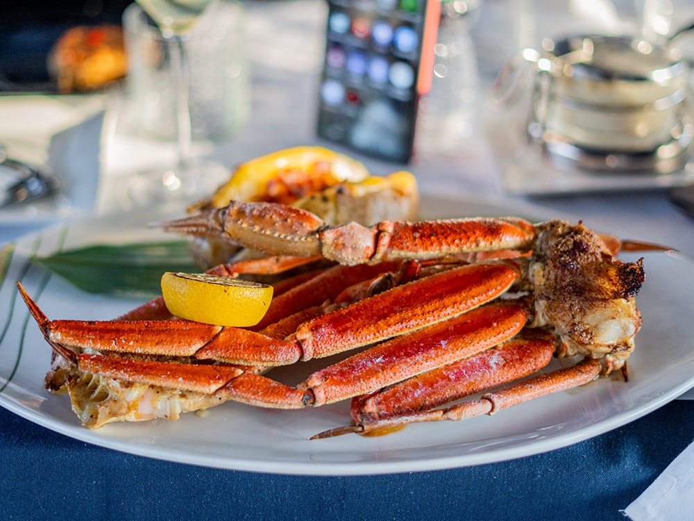 Best Waterfront Event Venue in The Bronx