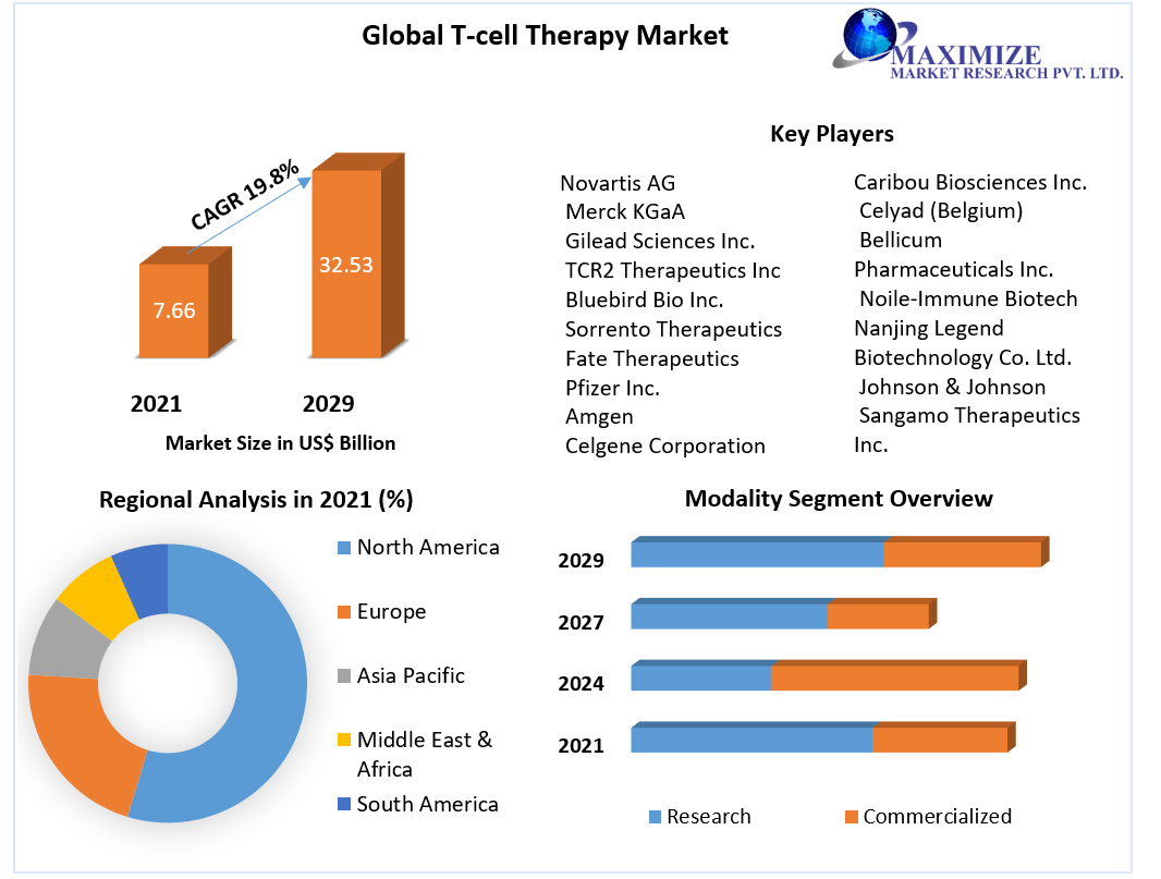 T-cell Treatment Market: Rising Geriatric Population And Incidence Of Target Conditions